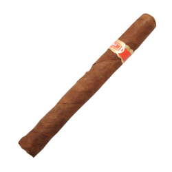 Cuban cigar